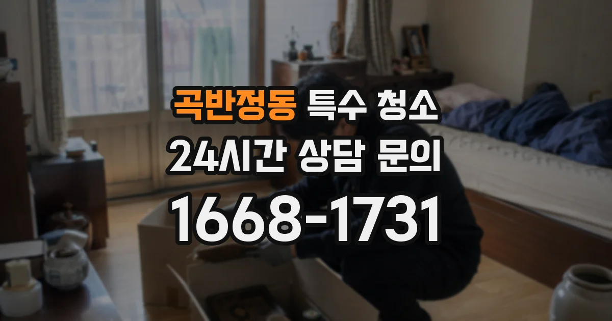 곡반정동 특수 청소
