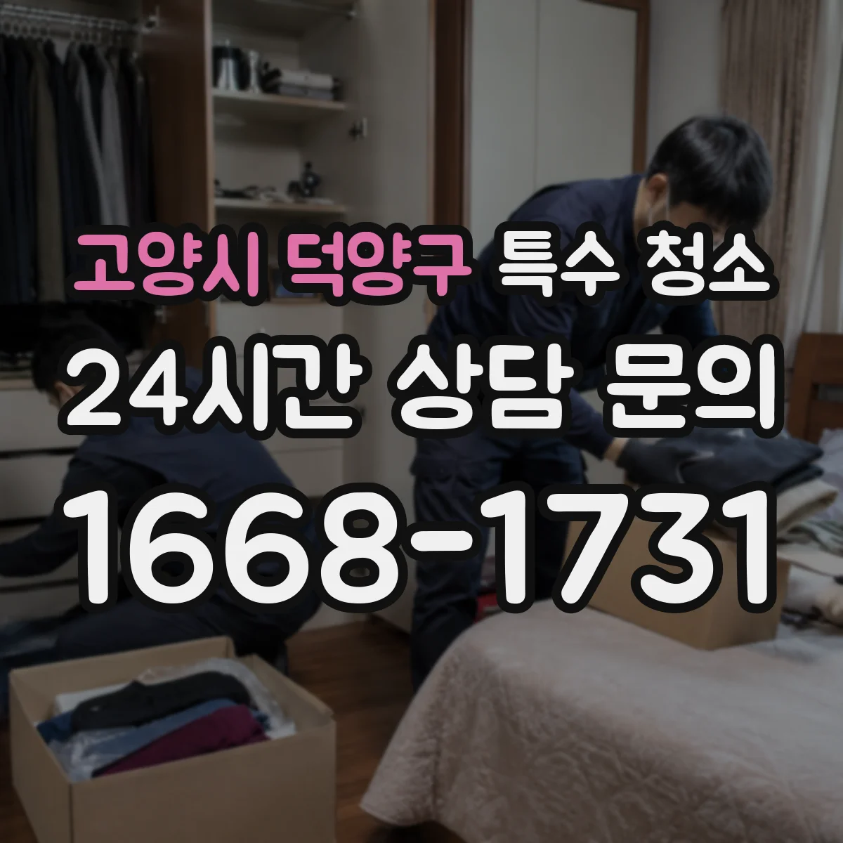 고양시 덕양구 특수 청소