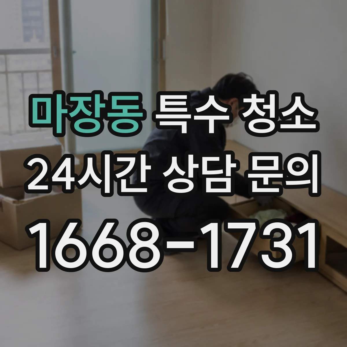 마장동 특수 청소