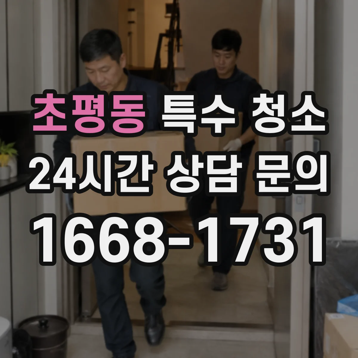 초평동 특수 청소