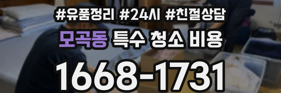 모곡동 특수 청소 비용