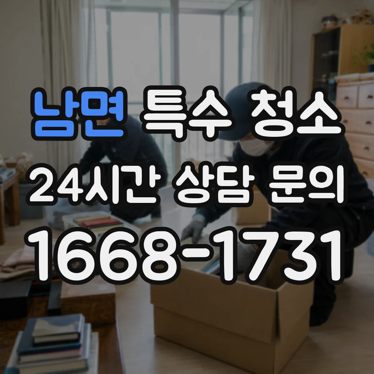 남면 특수 청소