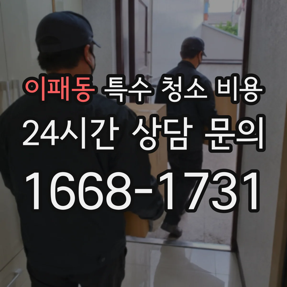 이패동 특수 청소 비용