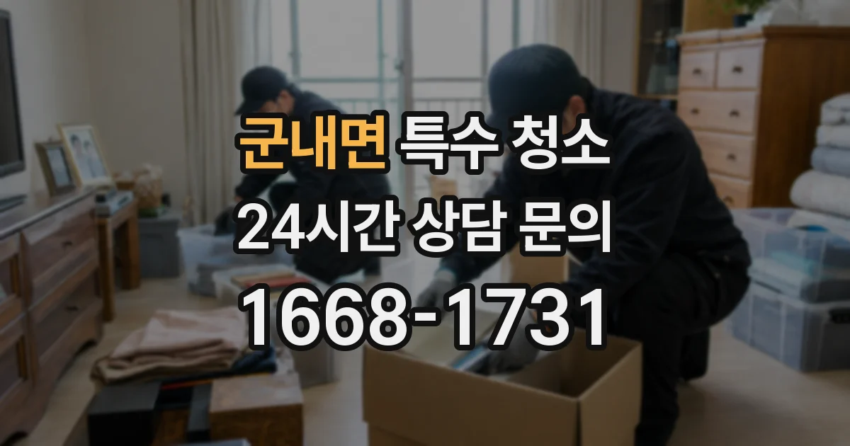 군내면 특수 청소