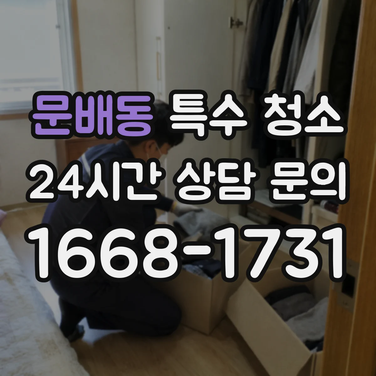 문배동 특수 청소
