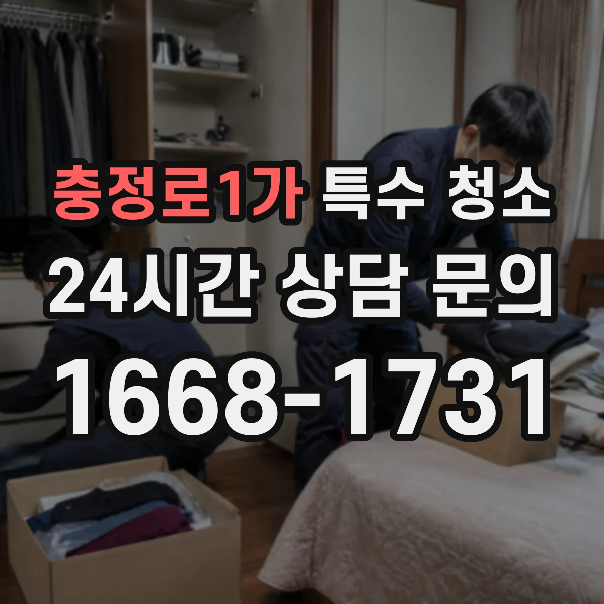 충정로1가 특수 청소