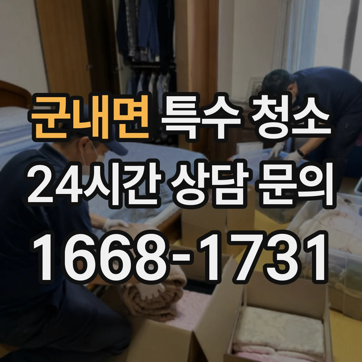 군내면 특수 청소