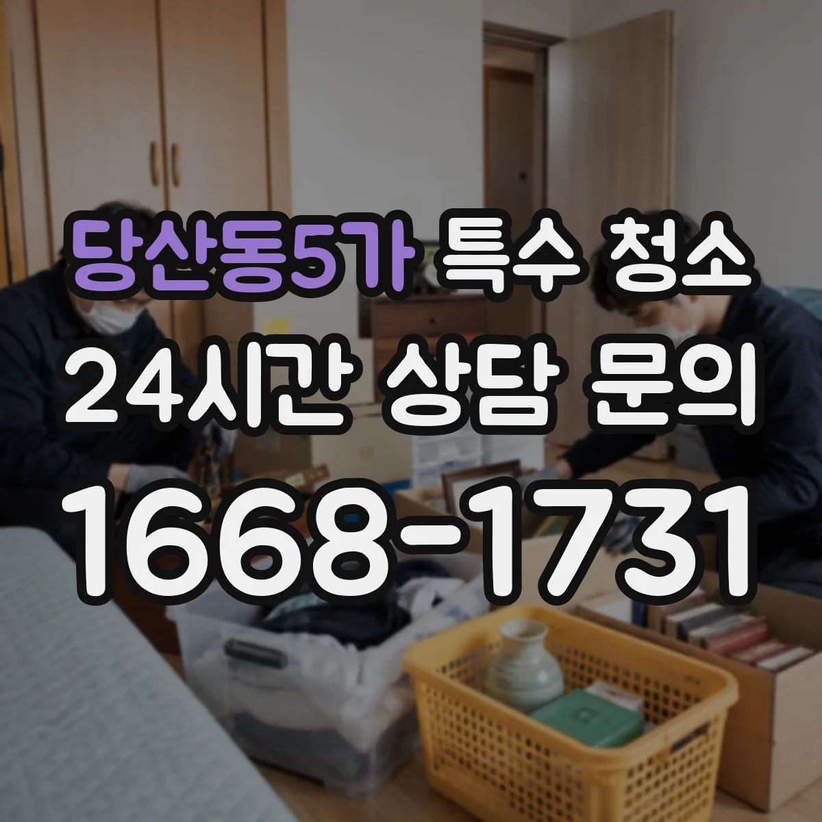 당산동5가 특수 청소