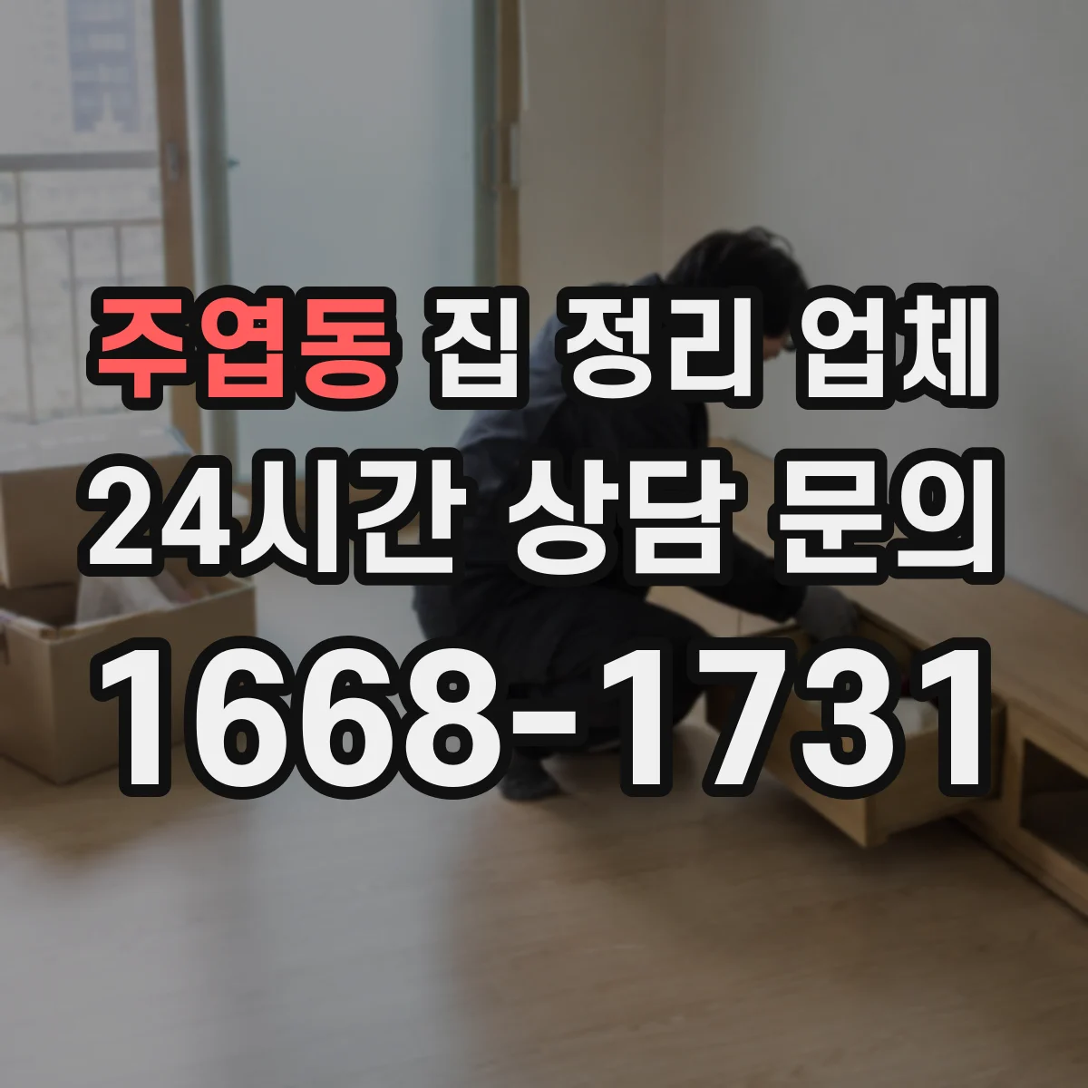 주엽동 집 정리 업체