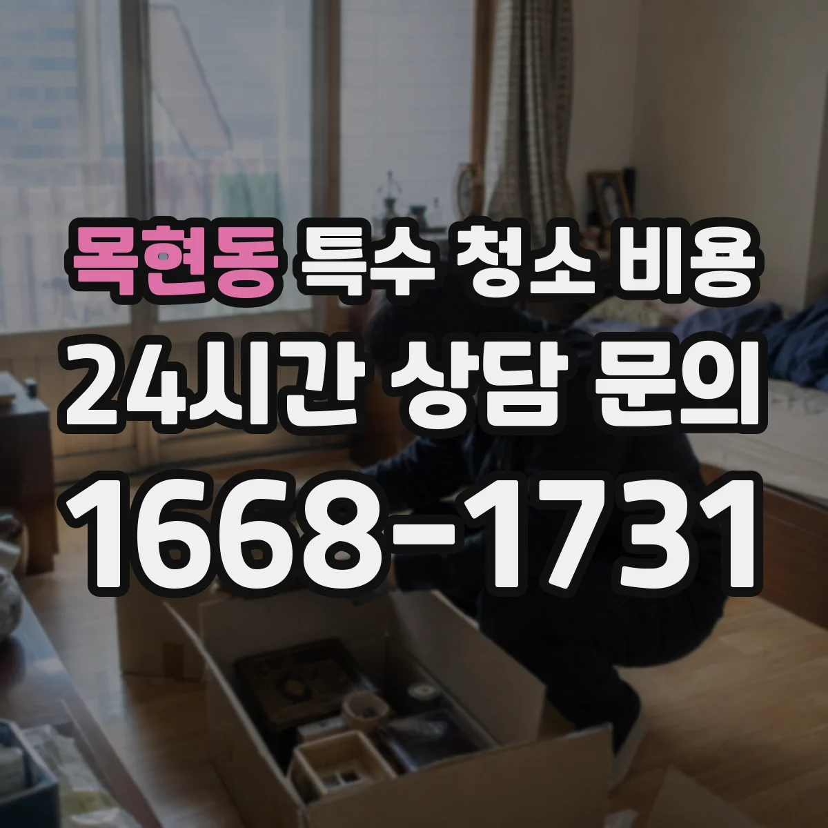 목현동 특수 청소 비용