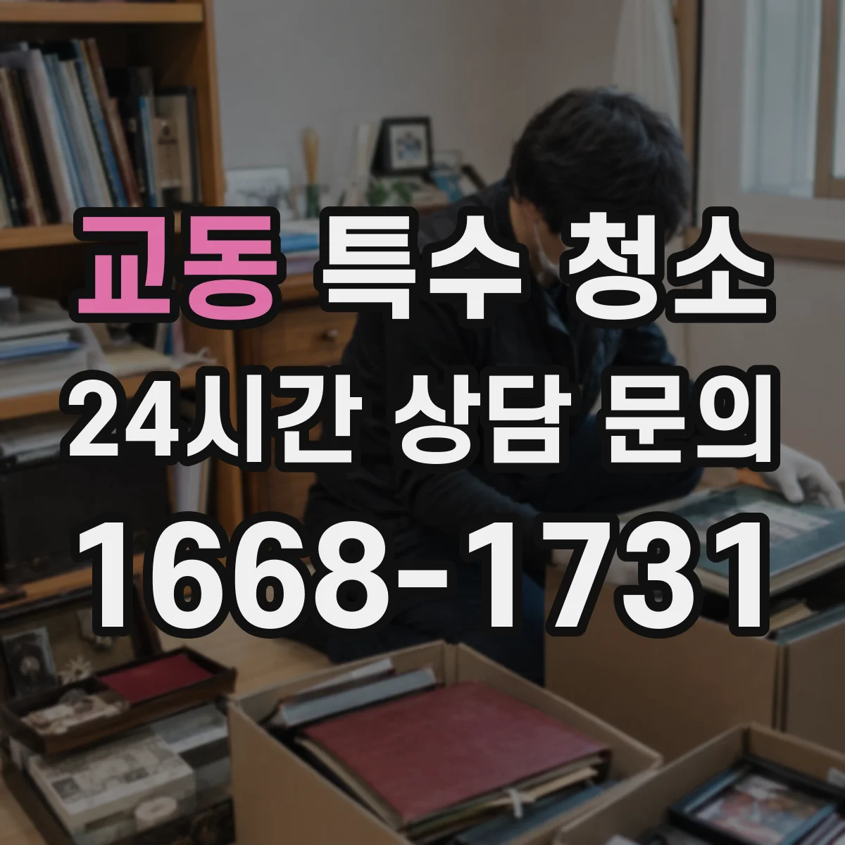 교동 특수 청소
