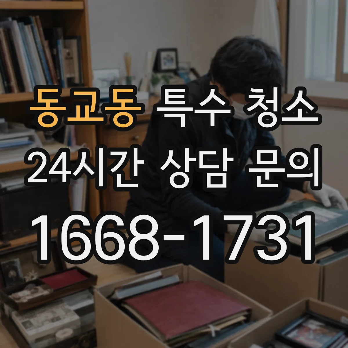 동교동 특수 청소