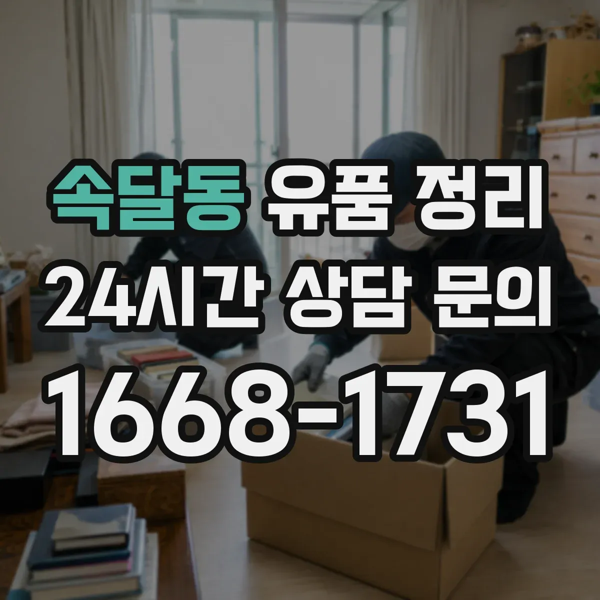 속달동 유품 정리 사진 라벨링 후 물품 재배치 기준
