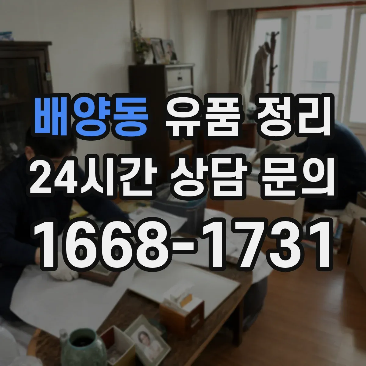 배양동 유품 정리