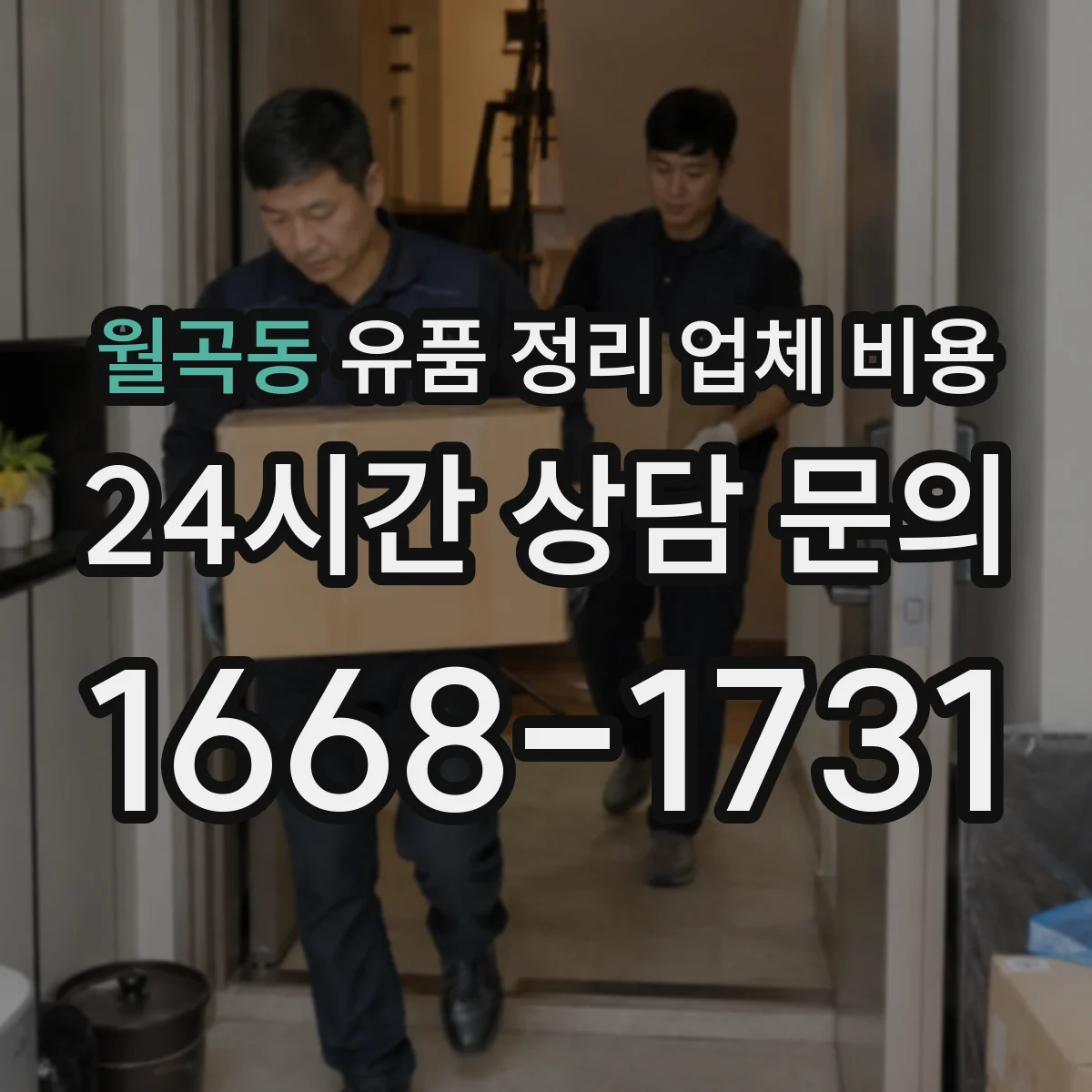 월곡동 유품 정리 업체 비용 견적 받기 전 곰팡이 증상 체크