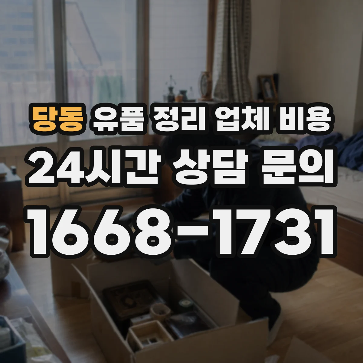 당동 유품 정리 업체 비용 견적 받기 전 곰팡이 증상 체크