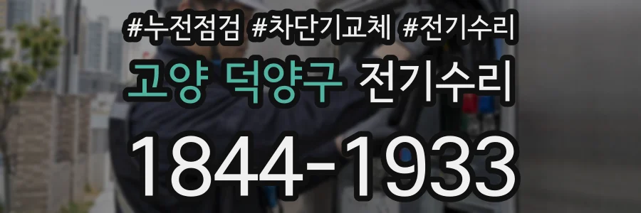 고양 덕양구 전기수리