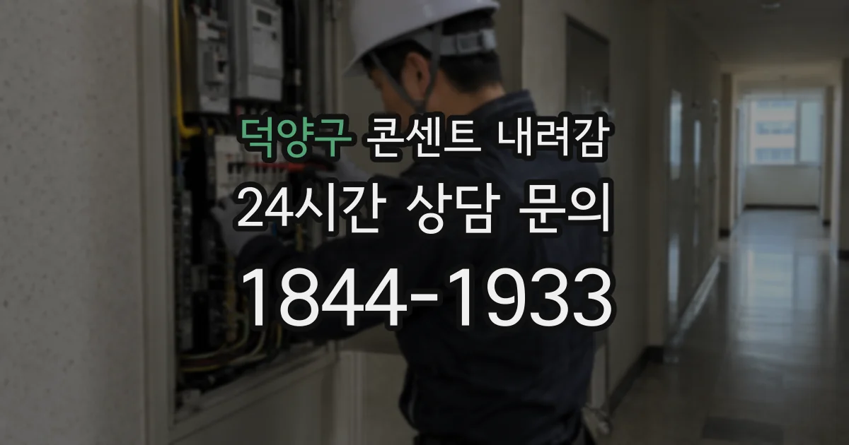 덕양구 콘센트 내려감