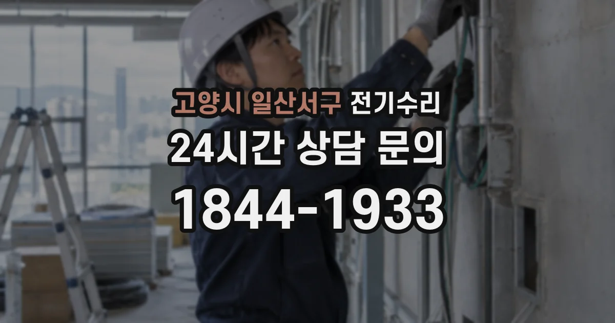 고양시 일산서구 전기수리