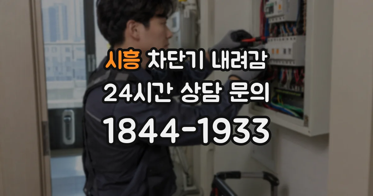 시흥 차단기 내려감