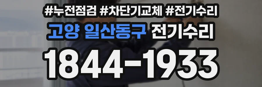고양 일산동구 전기수리