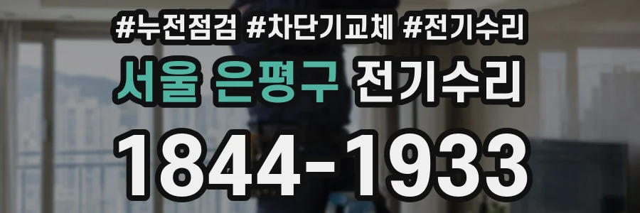 서울 은평구 전기수리