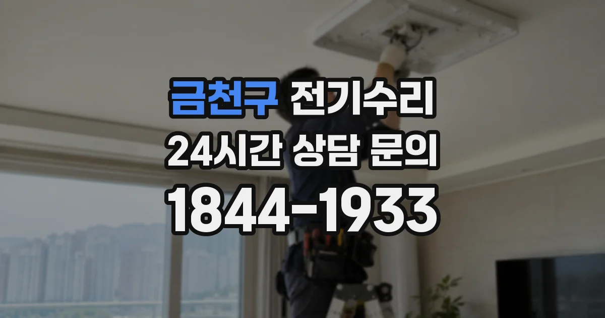 금천구 전기수리