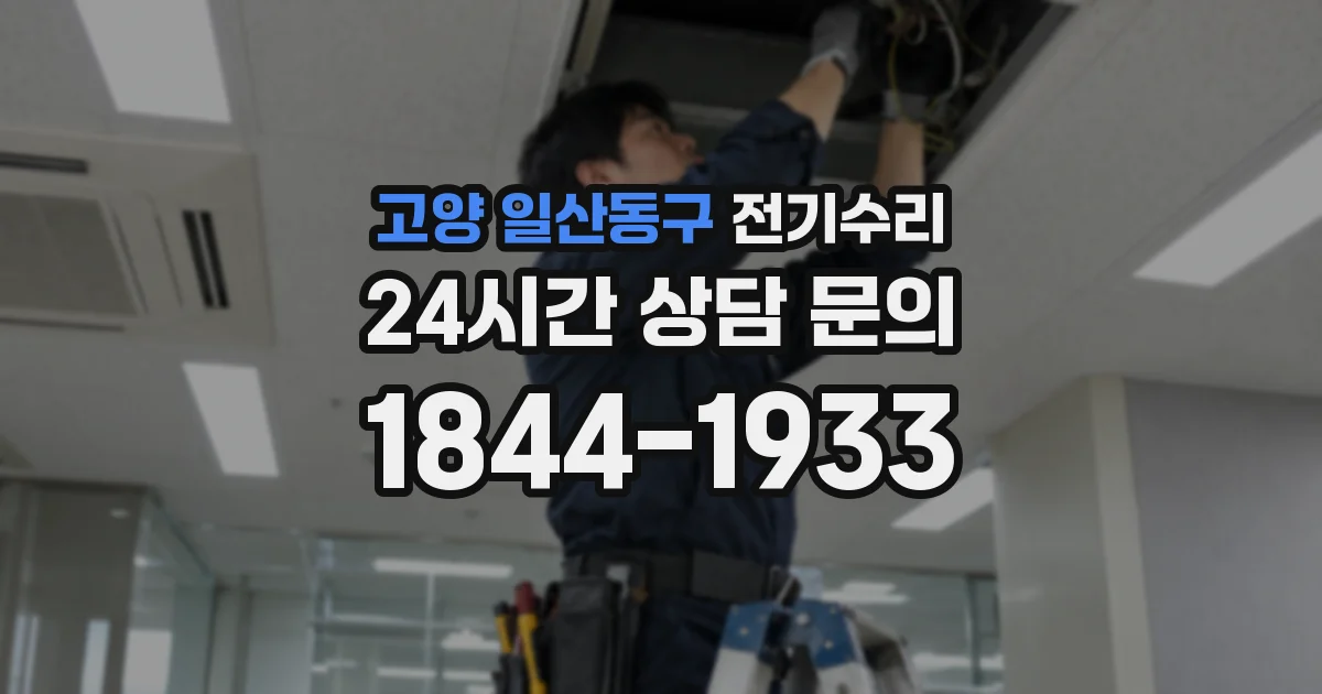 고양 일산동구 전기수리