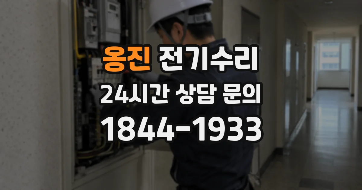 옹진 전기수리
