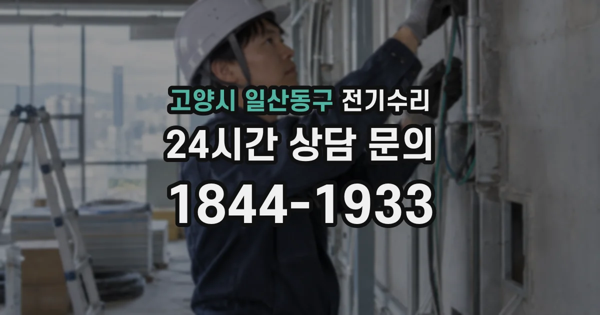 고양시 일산동구 전기수리