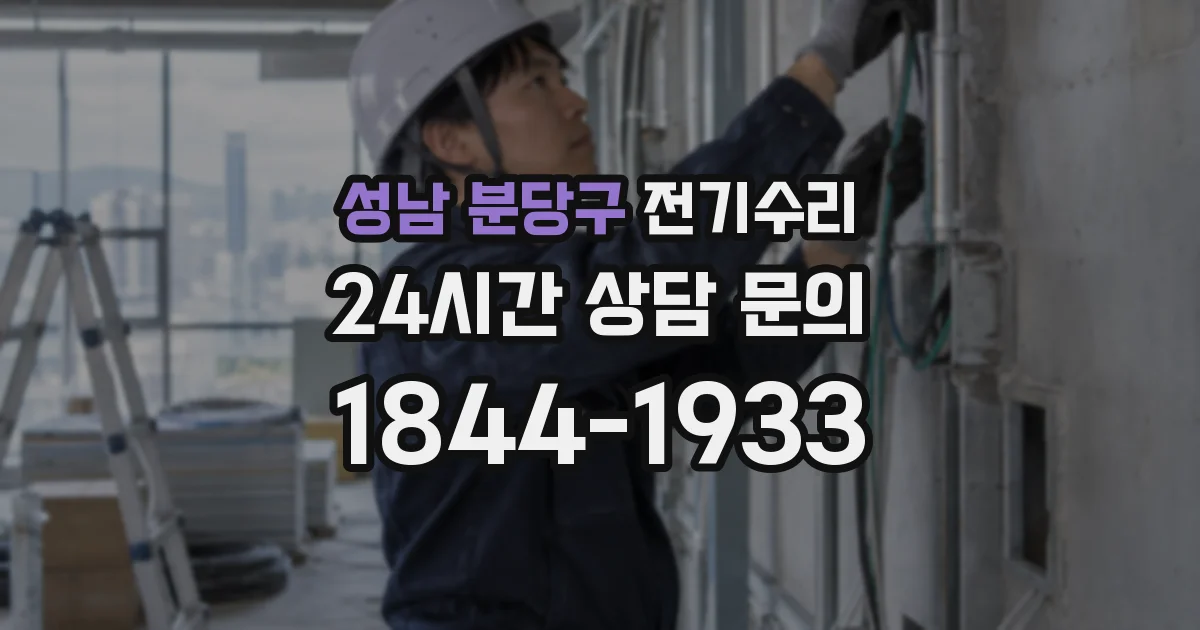 성남 분당구 전기수리