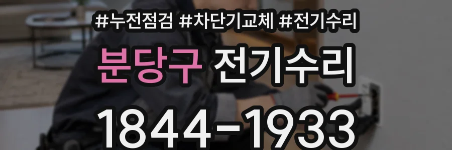 분당구 전기수리
