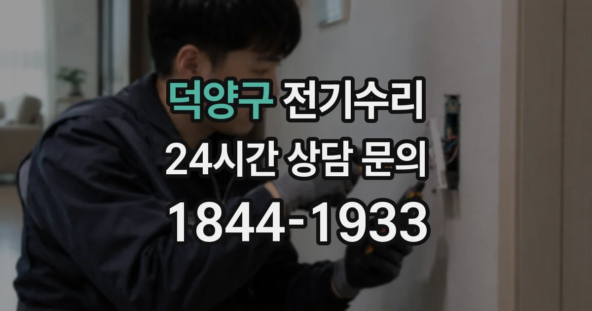 덕양구 전기수리