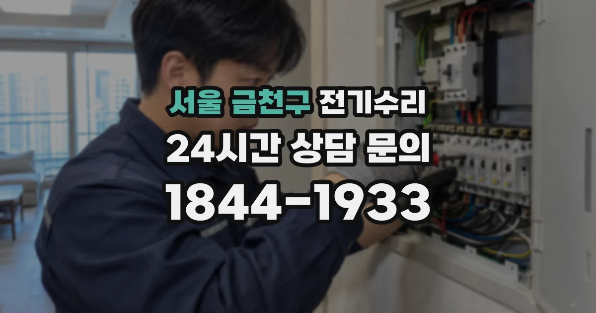 서울 금천구 전기수리