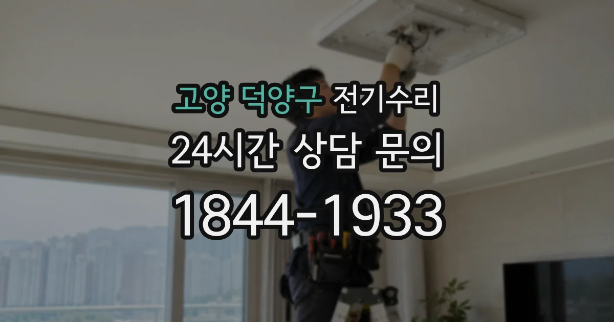 고양 덕양구 전기수리