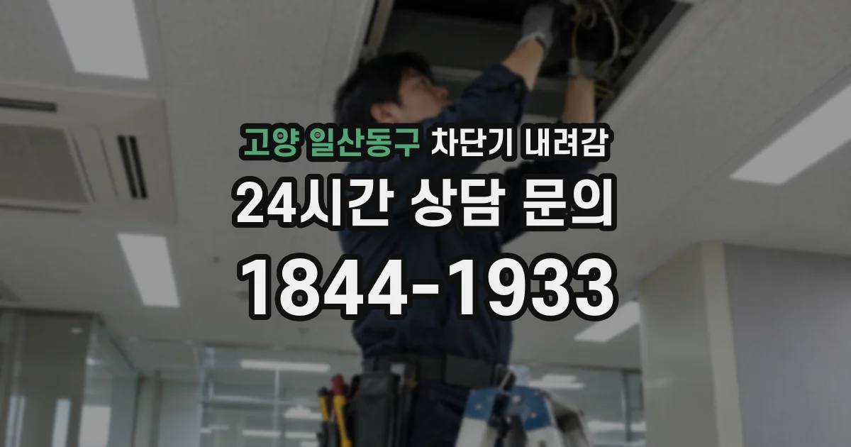 고양 일산동구 차단기 내려감