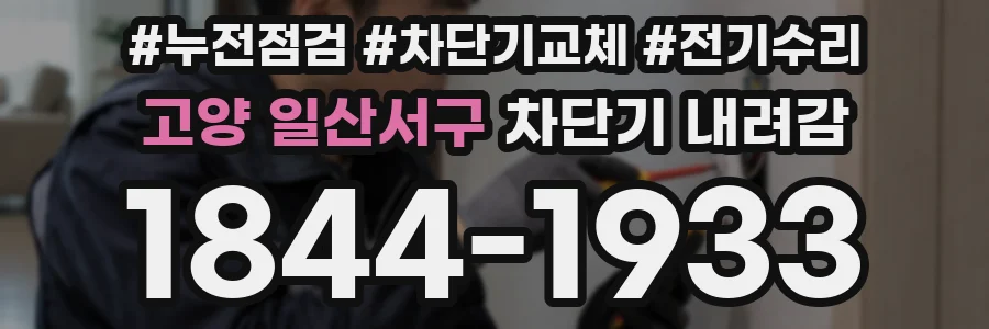 고양 일산서구 차단기 내려감