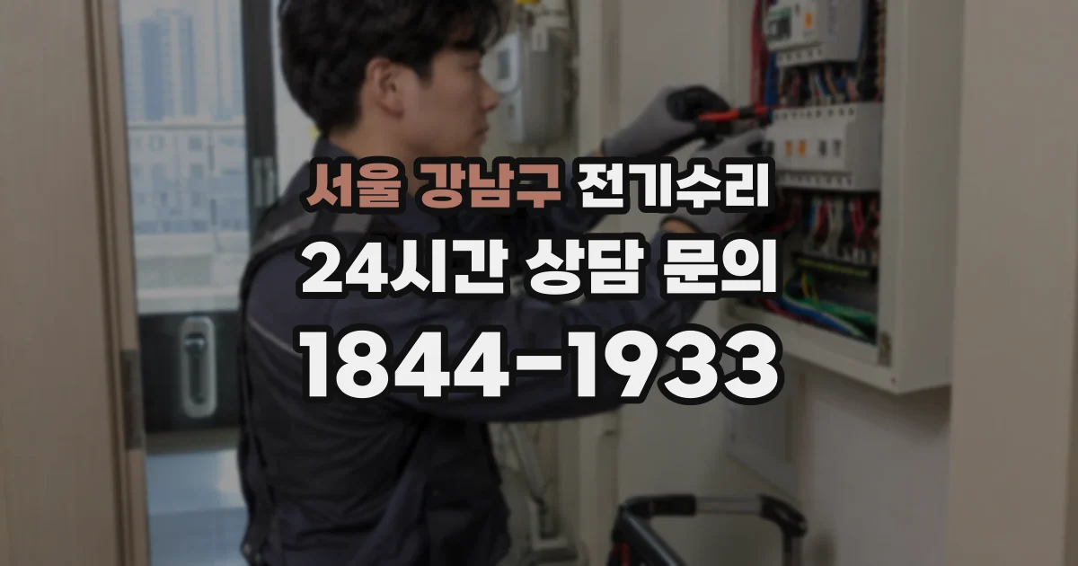 서울 강남구 전기수리