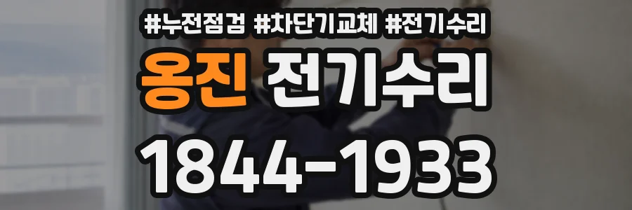 옹진 전기수리