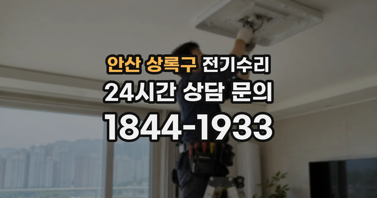 안산 상록구 전기수리