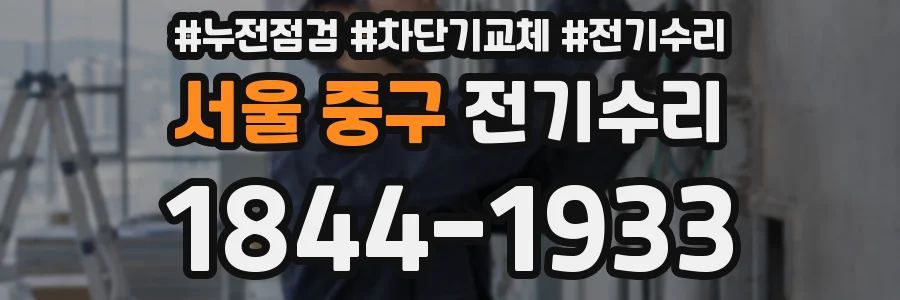 서울 중구 전기수리