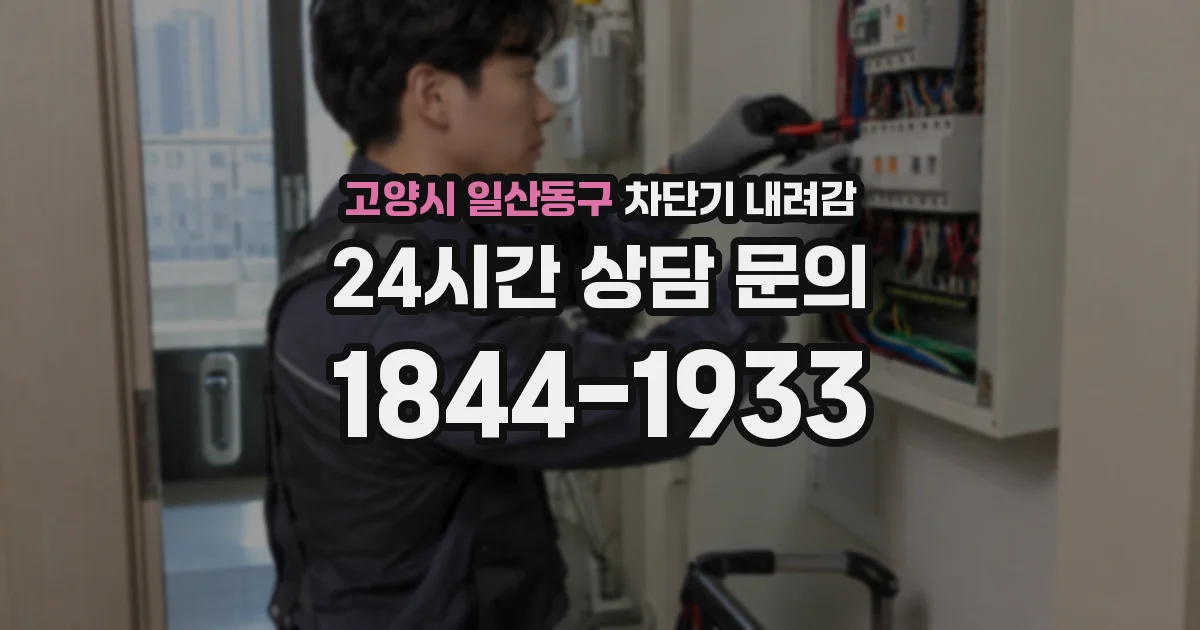 고양시 일산동구 차단기 내려감
