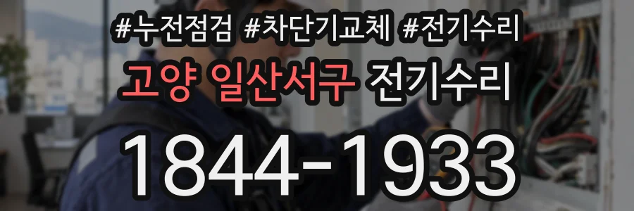 고양 일산서구 전기수리