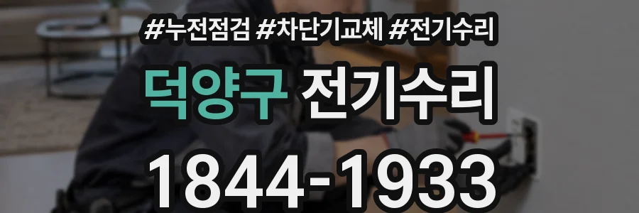 덕양구 전기수리
