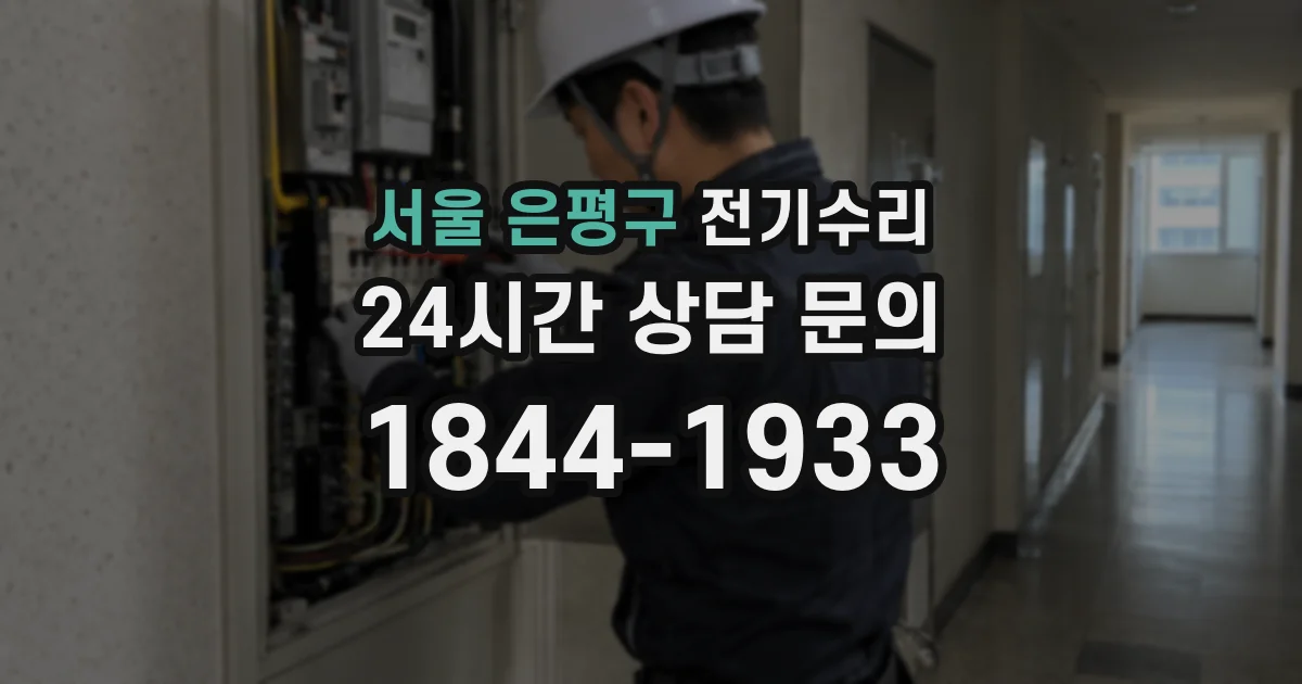 서울 은평구 전기수리
