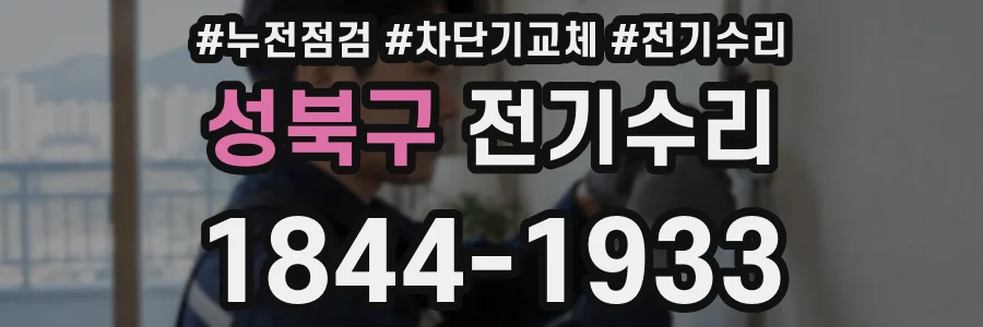 성북구 전기수리