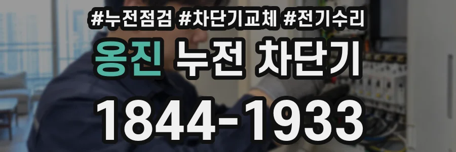 옹진 누전 차단기