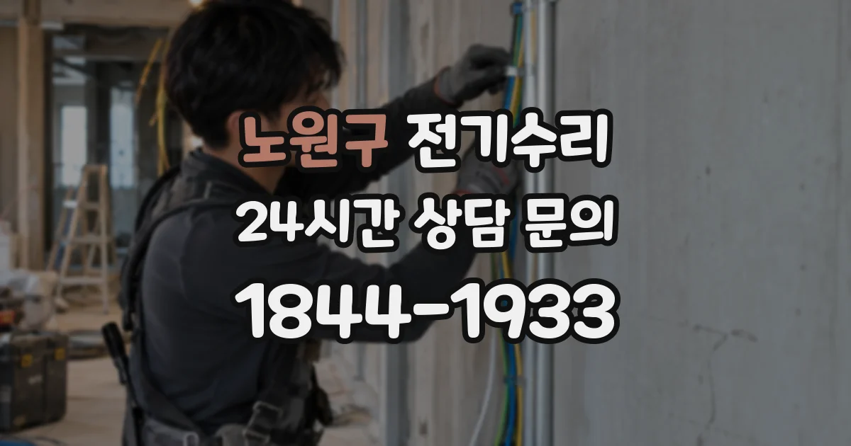 노원구 전기수리