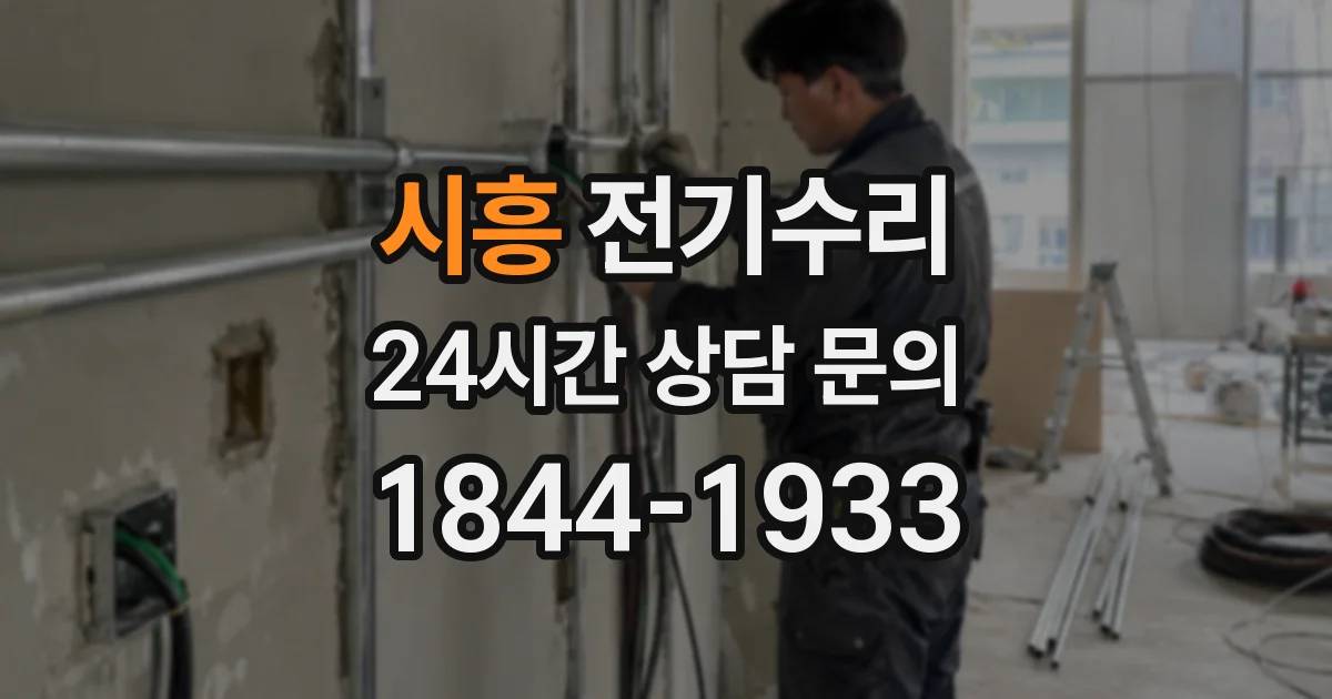 시흥 전기수리