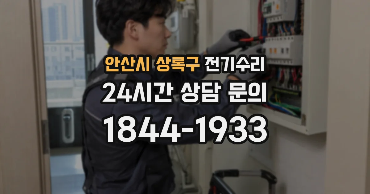 안산시 상록구 전기수리